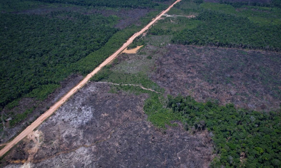 Brasil avança na transição ecológica com quinto leilão do Eco Invest para inovação sustentável