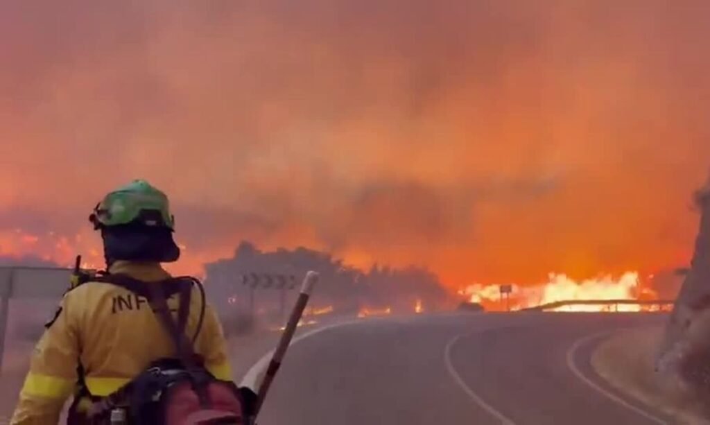 Chamas na Europa: Incêndios florestais cercam Bordeaux e causam evacuações em massa