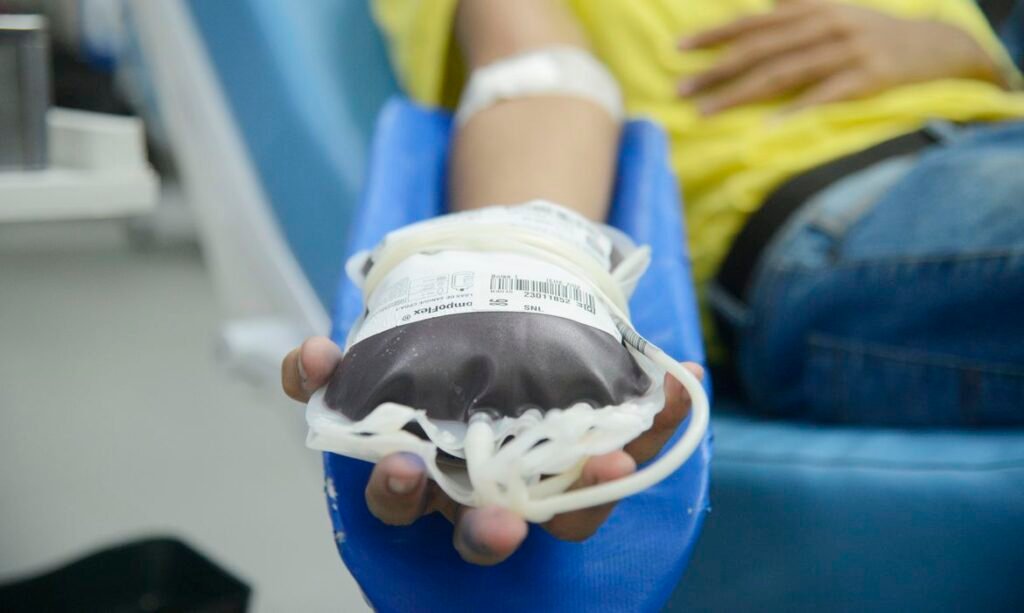 Doação de sangue tem novas regras e prazos reduzidos a partir de outubro no Brasil