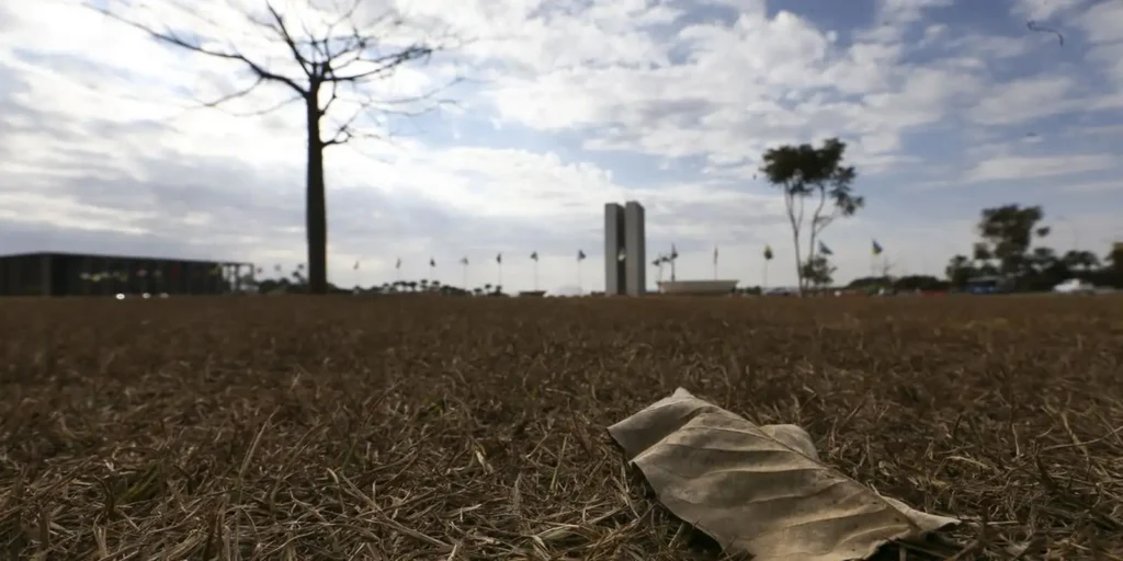 Previsão do tempo: Sul em alerta para temporais e granizo, enquanto outras regiões enfrentam calor intenso