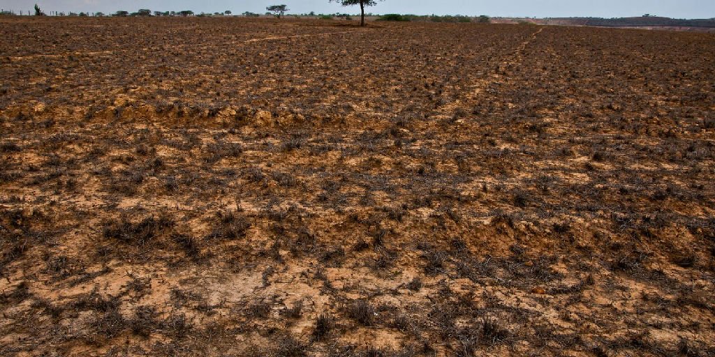 Sete municípios do Nordeste têm emergência reconhecida pela Defesa Civil devido à estiagem