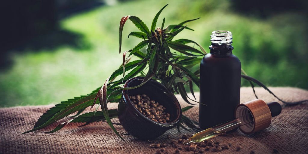Associações apontam lacunas e insegurança jurídica em novas normas da cannabis medicinal