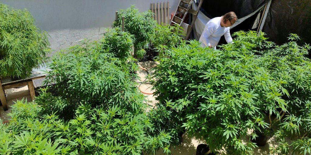 Fortaleza sedia debate crucial sobre políticas de drogas e justiça social