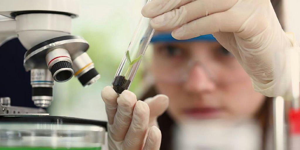 Prêmio Carolina Bori abre inscrições para destacar jovens cientistas brasileiras