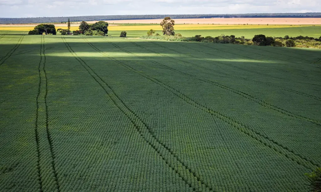 Produtores rurais atingidos por eventos climáticos ganham novo prazo para renegociar dívidas