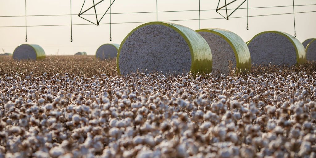 Sapezal e São Desidério lideram produção agrícola; nova divisão territorial muda ranking nacional
