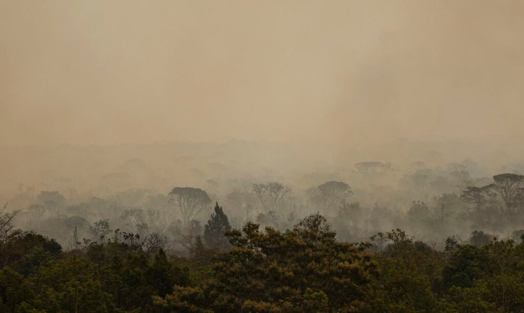 Força Nacional do SUS atua no Amazonas após avanço de incêndios