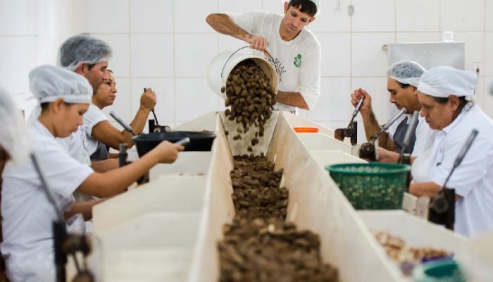Acordo Mercosul-ue: consulta sobre bens sustentáveis entra na reta final