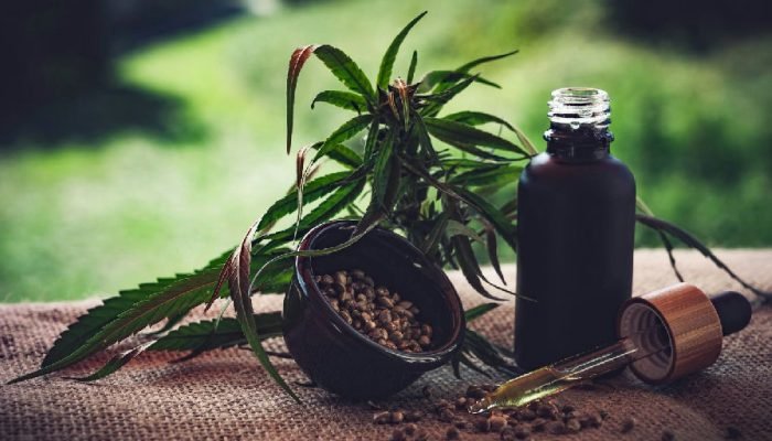 Associações apontam lacunas e insegurança jurídica em novas normas da cannabis medicinal