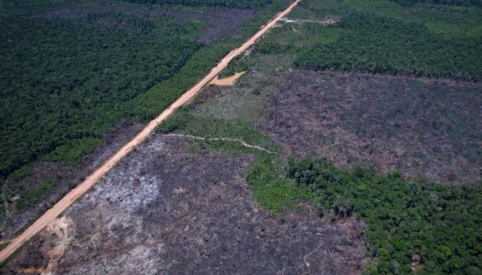 Brasil avança na transição ecológica com quinto leilão do Eco Invest para inovação sustentável
