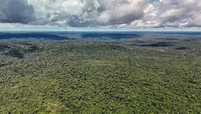 Brasil garante US$ 1 bilhão do BID para impulsionar o Eco Invest e a transição ecológica