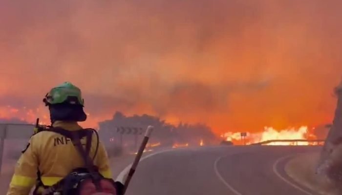 Chamas na Europa: Incêndios florestais cercam Bordeaux e causam evacuações em massa
