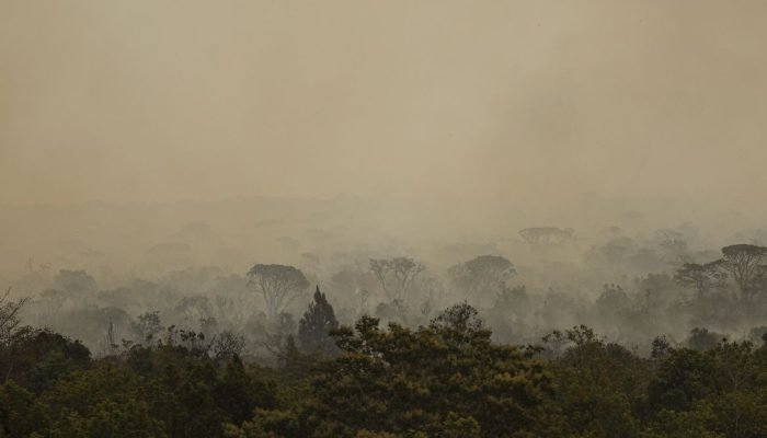 Força Nacional do SUS atua no Amazonas após avanço de incêndios