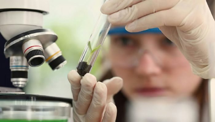 Prêmio Carolina Bori abre inscrições para destacar jovens cientistas brasileiras