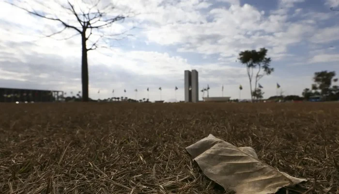 Previsão do tempo: Sul em alerta para temporais e granizo, enquanto outras regiões enfrentam calor intenso