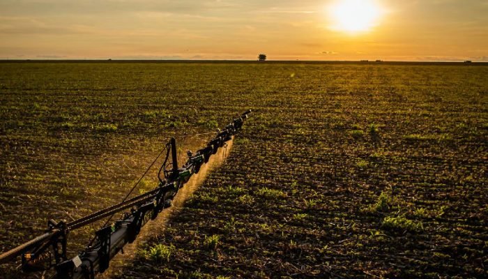 Seguro rural ganha novas regras para ampliar proteção e crédito ao produtor