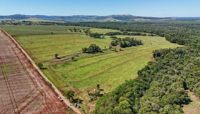 Última chance: prazo para a Declaração do ITR 2026 termina nesta quarta-feira